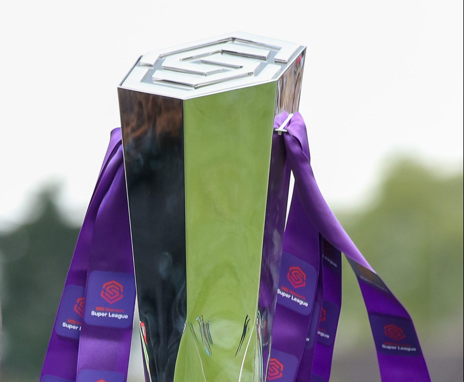 The WSL trophy